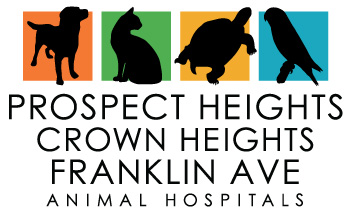 Prospect Heights – Crown Heights – Franklin Ave Animal Hospitals